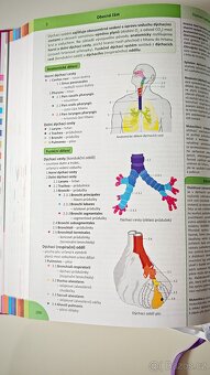 Memorix Histologie - autor Jan Balko a kolektiv - 6