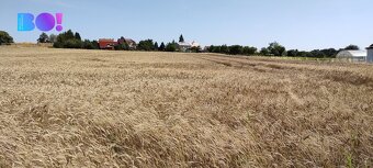 Prodej stavebního pozemku, 5 182 m²,  Beňov - 6