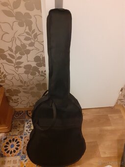 Elektroakustika-Kytara 12 struná - 6