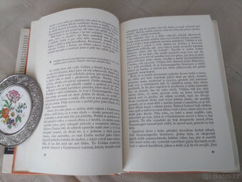 Můj pán Kolumbus - románová biografie - 6