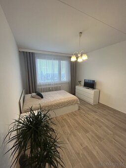 Pronájem panelového bytu 1+1 v OV, Svitavy - 6