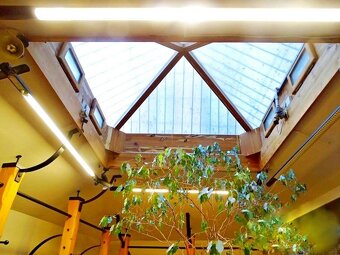 Pronájem obchodních prostor, centrum Olomouce - 6