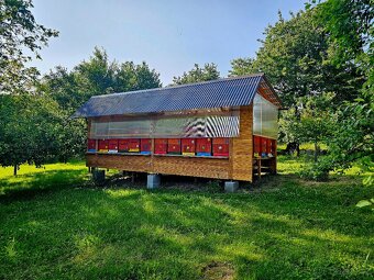 Včelí oddělky - 6