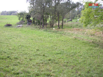 Prodej louky, 2494 m², Janův Důl - 6
