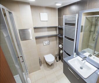 Loftový byt 2+kk na Albertově s GS - 6