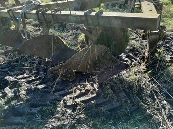 Pluh 5 radličný polonesený - 6