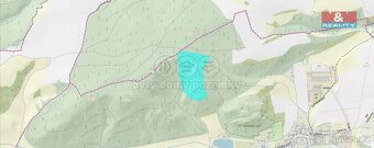 Prodej lesa, 62499 m², Trubín - 6