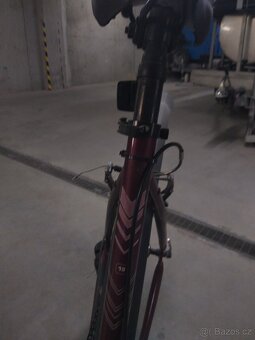 dámské kolo AUTHOR Thema 19 - 6