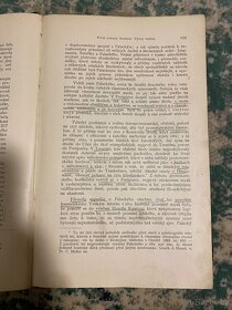 Dějiny národu českého v Čechách a v Moravě z let 1894-1896 - 6