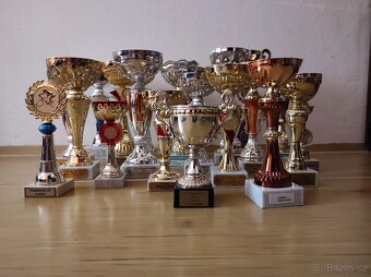 Trofeje - 6