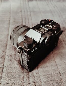 Fujifilm X-S10 + Fujifilm XC 15-45 mm - 6