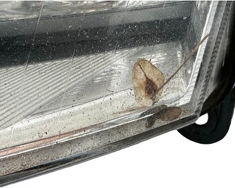 Levé přední xenon světlo 4F0941029A Audi A6 C6 4F r.v. 2006 - 6
