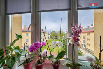 Prodej bytu 3+kk v Trutnově, ul. U Hřiště - 6