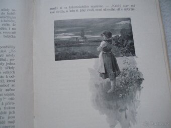 stará kniha Babička-B.Němcová-pozlacená - 6