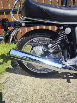 Norton - 6