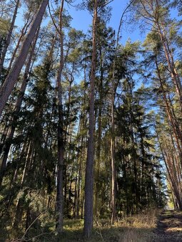 Prodám pozemky v katastrálním území Nemějice - 6