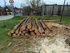 Suché palivové dřevo, dřevo na uzení, dubové kůly - 6