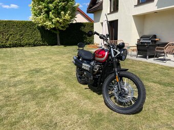 Triumph Street Scrambler 900 - 6