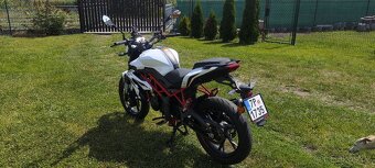 Benelli bn 125 - 6