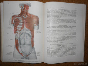 Staré knihy Anatomie člověka - 6