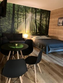 Apartmán Vrbno pod Pradědem - Jeseníky - 6