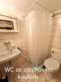 Pronájem rodinného domu v Podbořanech - 6