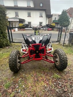 Yamaha raptor 250 yamaha - 6