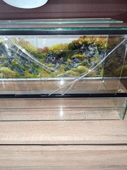 Skleněne terárium s dvířky - 6