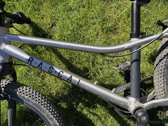 RASCAL 20 (titanium) - 6