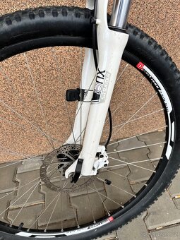 Kolo PELLS RAZZER 29” - 6