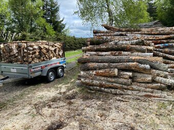 Palivové dřevo - 6