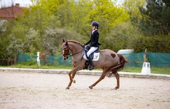Pony do sportu - 6