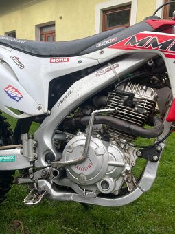 Diabolini MMR 250-2021 - 6