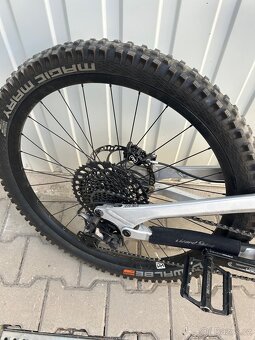 YT capra ltd 2020 - 6