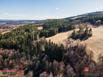 Prodej, pozemky/louka, 6801 m2, 67962 Prostřední Poříčí, Bla - 6