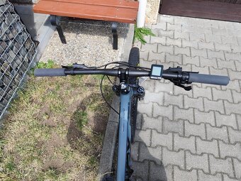 MRX elit29 - 6