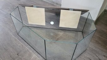 Terarium - 6
