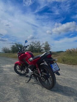 Honda CBF 125 - 6