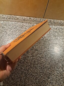 Bez domova - Hector Malot - 6