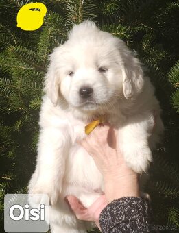 Chovateľská stanica na Starom mlynisku - 6