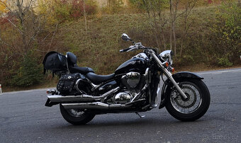 Suzuki c 800 intruder - 6