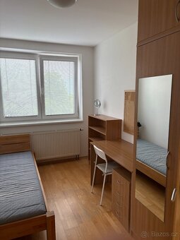 Pronájem jednolůžkového pokoje Brno Jundrov - 6