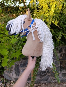 Larden xs hobby horse - 6