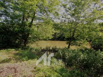 Dyje  – zahrada 476 m2, oplocení, přípojka elektřiny – zahra - 6