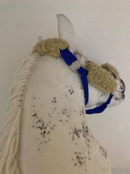 Hobby Horse - 6