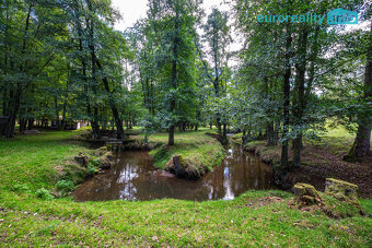 Prodej unikátní obory (8,66 ha) s jelení a dančí zvěří na hr - 6