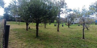 Pronájem zahrady - 6