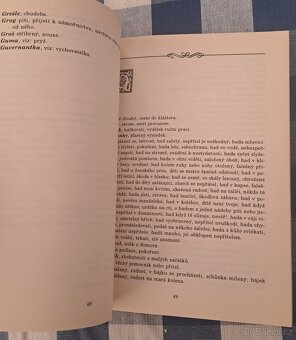 Kniha Český snář - výklad všech snů - 6