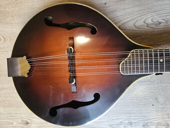 Celomasivní mandolína FURCH Ma-2 typ A - 6