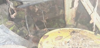 Traktor domácí výroby Škoda 1202 - 6